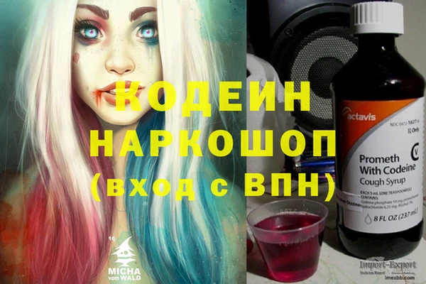 прущие грибы Мегион