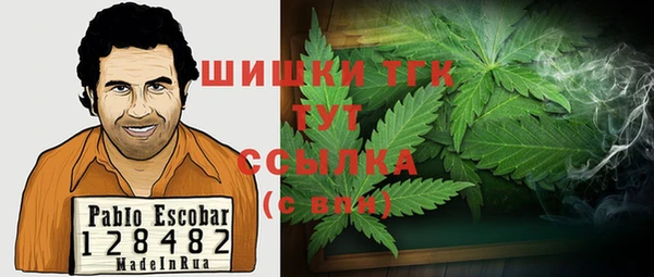 прущие грибы Мегион