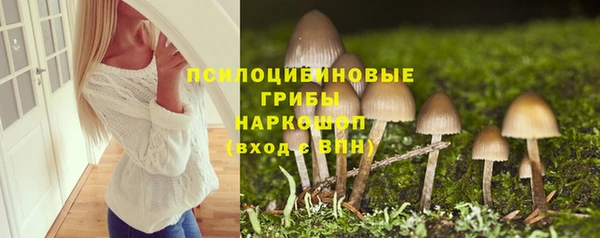 прущие грибы Мегион