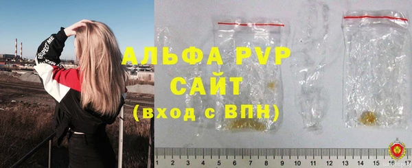 прущие грибы Мегион
