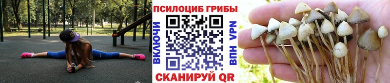 Псилоцибиновые грибы GOLDEN TEACHER купить Нерехта